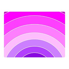 Pink Rainbow Purple Design Pattern Two Sides Premium Plush Fleece Blanket (mini) by Pakjumat