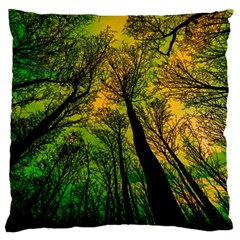 Landscape Night Moon Star Nature Large Premium Plush Fleece Cushion Case (two Sides) by Pakjumat