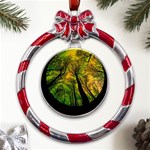 Landscape Night Moon Star Nature Metal Red Ribbon Round Ornament Front