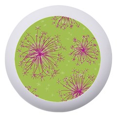 Dandelion Flower Background Nature Flora Drawing Dento Box With Mirror by Pakjumat