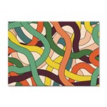 Snake Stripes Intertwined Abstract Sticker A4 (10 pack) Front