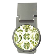 Algae Green Algae Chlorophyceae Money Clips (round)  by Pakjumat