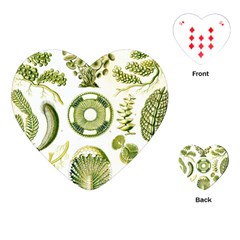 Algae Green Algae Chlorophyceae Playing Cards Single Design (heart)