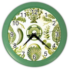 Algae Green Algae Chlorophyceae Color Wall Clock by Pakjumat