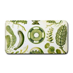 Algae Green Algae Chlorophyceae Medium Bar Mat by Pakjumat