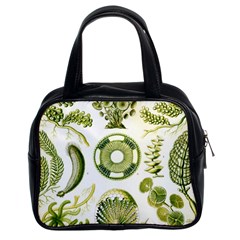 Algae Green Algae Chlorophyceae Classic Handbag (two Sides) by Pakjumat