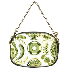 Algae Green Algae Chlorophyceae Chain Purse (one Side) by Pakjumat