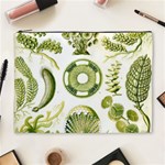 Algae Green Algae Chlorophyceae Cosmetic Bag (XL) Front