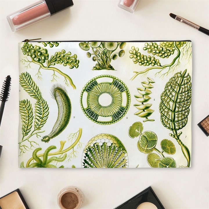 Algae Green Algae Chlorophyceae Cosmetic Bag (XL)