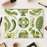 Algae Green Algae Chlorophyceae Cosmetic Bag (XL) Back