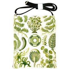 Algae Green Algae Chlorophyceae Shoulder Sling Bag by Pakjumat