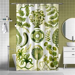 Algae Green Algae Chlorophyceae Shower Curtain 48  X 72  (small)  by Pakjumat