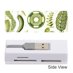 Algae Green Algae Chlorophyceae Memory Card Reader (stick) by Pakjumat