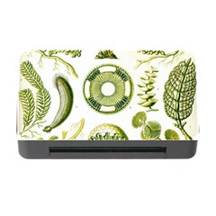 Algae Green Algae Chlorophyceae Memory Card Reader With Cf