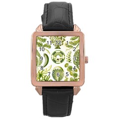 Algae Green Algae Chlorophyceae Rose Gold Leather Watch  by Pakjumat