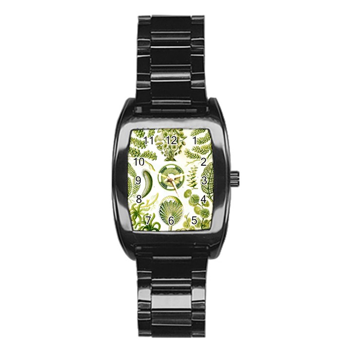 Algae Green Algae Chlorophyceae Stainless Steel Barrel Watch