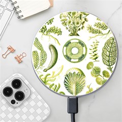 Algae Green Algae Chlorophyceae Wireless Fast Charger(white) by Pakjumat