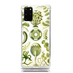 Algae Green Algae Chlorophyceae Samsung Galaxy S20plus 6 7 Inch Tpu Uv Case by Pakjumat