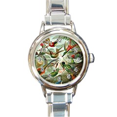 Humming Birds Trochilidae Round Italian Charm Watch by Pakjumat