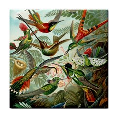 Humming Birds Trochilidae Tile Coaster by Pakjumat