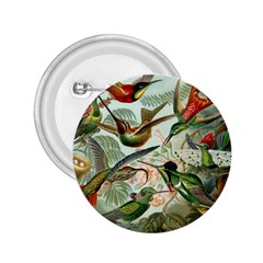 Humming Birds Trochilidae 2 25  Buttons by Pakjumat