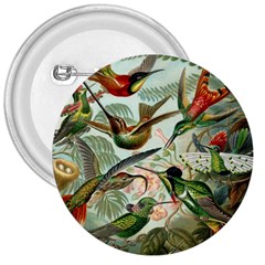 Humming Birds Trochilidae 3  Buttons by Pakjumat