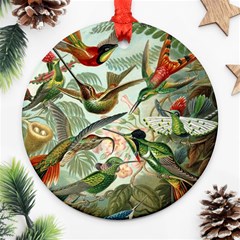 Humming Birds Trochilidae Ornament (round) by Pakjumat