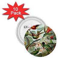 Humming Birds Trochilidae 1 75  Buttons (10 Pack) by Pakjumat