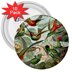 Humming Birds Trochilidae 3  Buttons (10 Pack)  by Pakjumat