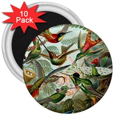 Humming Birds Trochilidae 3  Magnets (10 Pack)  by Pakjumat