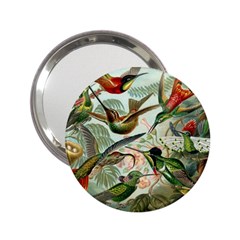 Humming Birds Trochilidae 2 25  Handbag Mirrors by Pakjumat