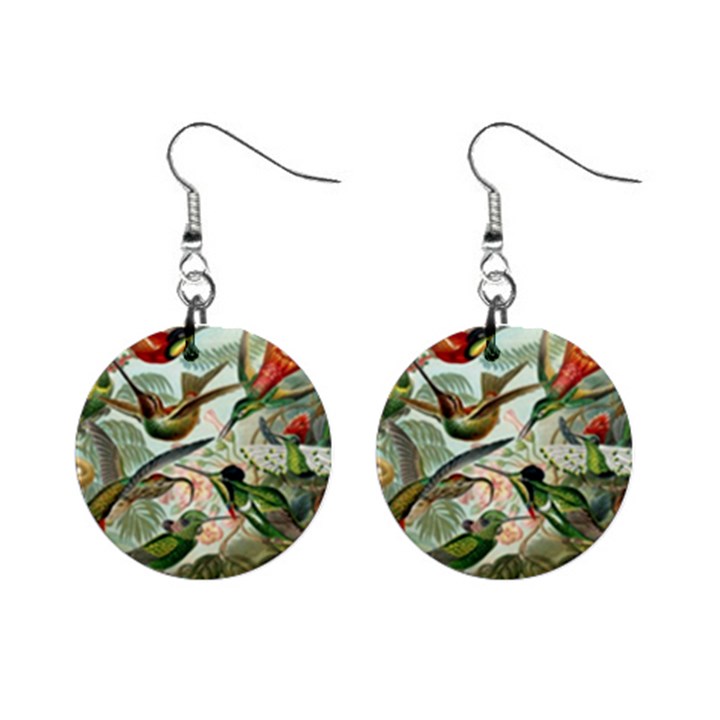 Humming Birds Trochilidae Mini Button Earrings