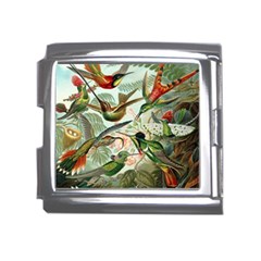 Humming Birds Trochilidae Mega Link Italian Charm (18mm) by Pakjumat