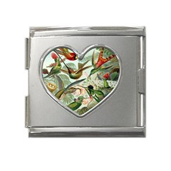 Humming Birds Trochilidae Mega Link Heart Italian Charm (18mm) by Pakjumat