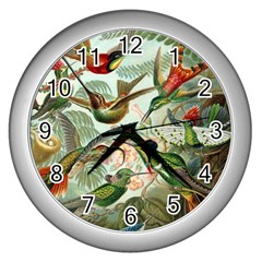 Humming Birds Trochilidae Wall Clock (silver) by Pakjumat