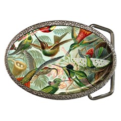 Humming Birds Trochilidae Belt Buckles by Pakjumat