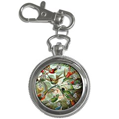 Humming Birds Trochilidae Key Chain Watches by Pakjumat