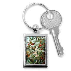 Humming Birds Trochilidae Key Chain (rectangle) by Pakjumat