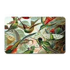 Humming Birds Trochilidae Magnet (rectangular) by Pakjumat