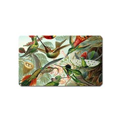 Humming Birds Trochilidae Magnet (name Card) by Pakjumat