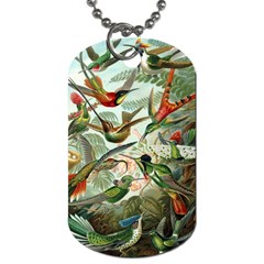 Humming Birds Trochilidae Dog Tag (two Sides) by Pakjumat