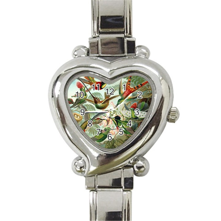 Humming Birds Trochilidae Heart Italian Charm Watch