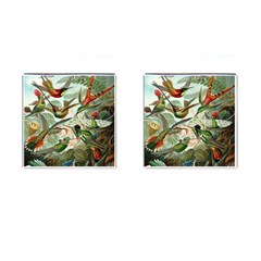 Humming Birds Trochilidae Cufflinks (square) by Pakjumat