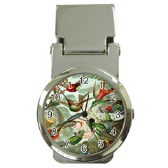 Humming Birds Trochilidae Money Clip Watches by Pakjumat