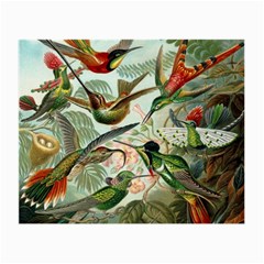 Humming Birds Trochilidae Small Glasses Cloth (2 Sides) by Pakjumat