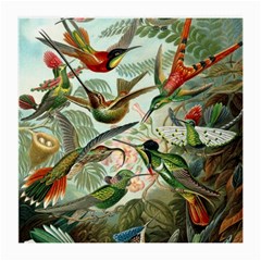 Humming Birds Trochilidae Medium Glasses Cloth by Pakjumat