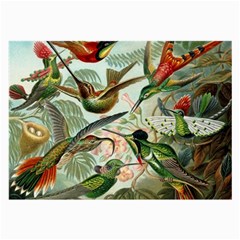 Humming Birds Trochilidae Large Glasses Cloth by Pakjumat