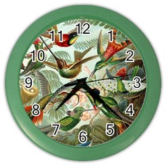 Humming Birds Trochilidae Color Wall Clock by Pakjumat