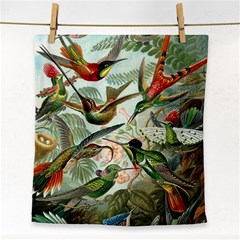 Humming Birds Trochilidae Face Towel by Pakjumat