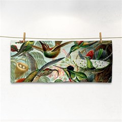 Humming Birds Trochilidae Hand Towel by Pakjumat